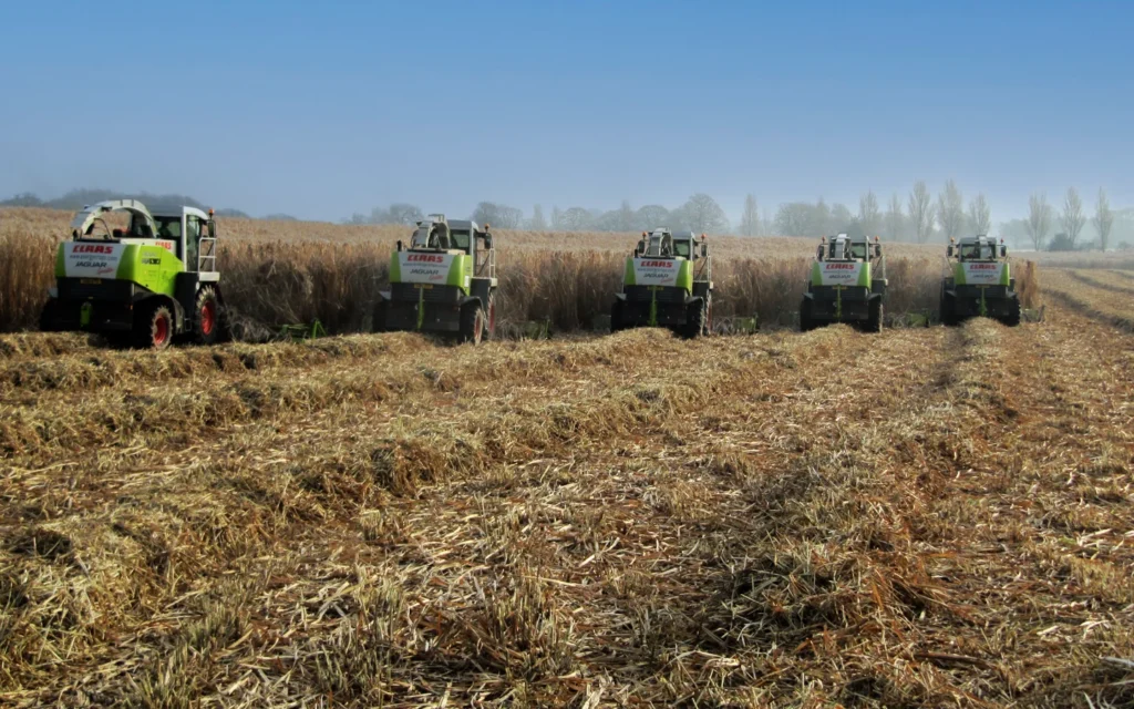 Energy Crops Harvest IEC