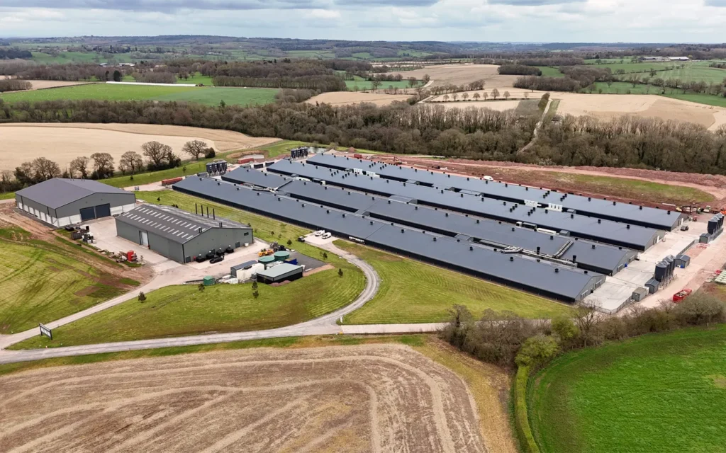 Poultry Farm