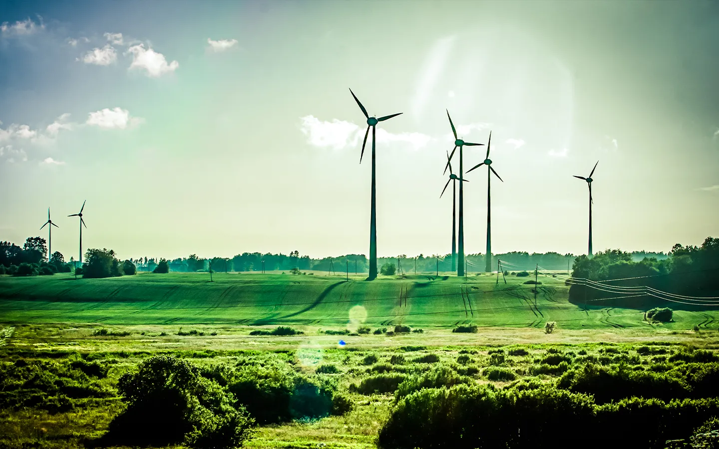 wind energy