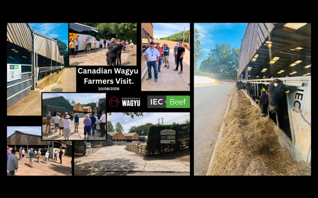 IEC Beef Wagyu Beef Farmers Visit